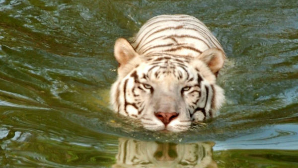 ఏడాదికి 30 లక్షల జనం..