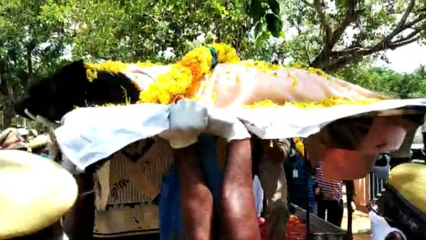  విశేష సేవలతో పతకాల పంట....