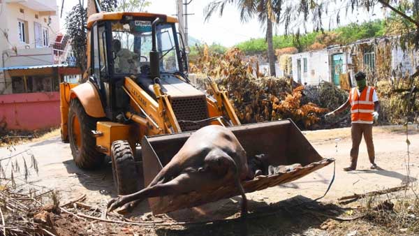 చెన్నైలో టెస్టులు..