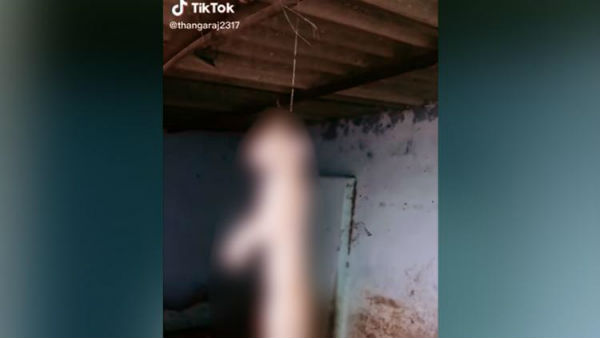  టిక్ టాక్ పిచ్చి