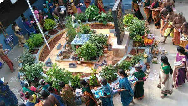 మానవ జీవితం కూడా చెట్టులానే...