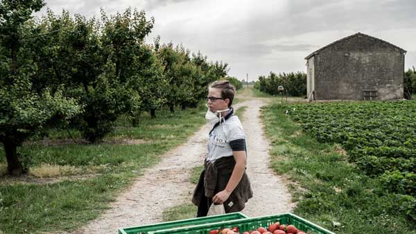 వ్యవసాయమే దిక్కు అంటున్న నిరుద్యోగులు వ్యవసాయమే దిక్కు అంటున్న నిరుద్యోగులు