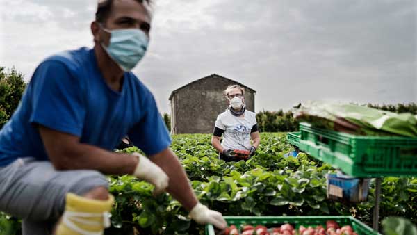 స్వర్గం నుంచి అమృతం జారిపడ్డట్టే.. స్వర్గం నుంచి అమృతం జారిపడ్డట్టే..