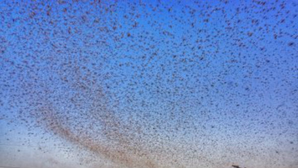 కాంగ్రెస్‌కు కేంద్రమంత్రి చురకలు.. 