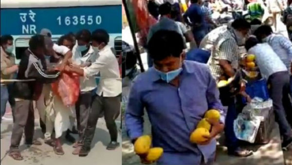 హెల్మెట్లలో పండ్లు హెల్మెట్లలో పండ్లు