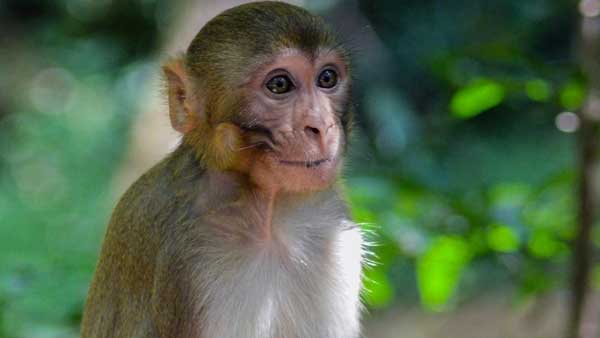 మాస్క్ పెట్టుకుంటే గ్లామర్ తగ్గిపోతుందా ?