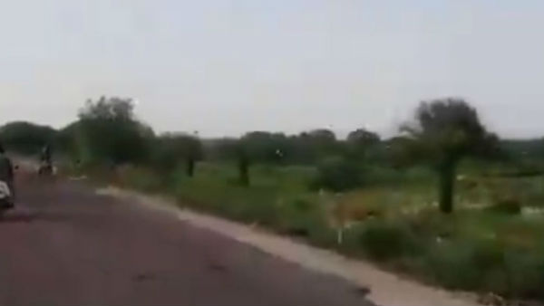 గచ్చిబౌలి ఐటీ కారిడార్ పరిధిలో సందడి చేసిన జింకల గుంపు గచ్చిబౌలి ఐటీ కారిడార్ పరిధిలో సందడి చేసిన జింకల గుంపు