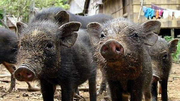 చైనా నుంచి అరుణాచల్ ప్రదేశ్‌కు..