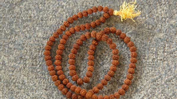 What is meant by Rudraksha and what is its importance? What is meant by Rudraksha and what is its importance?