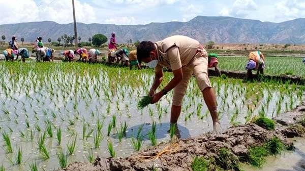 కరోనా లాక్ డౌన్ సమయంలో గ్రామాల ప్రజలకు నిత్యావసరాలు పంపిణీ