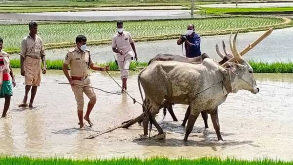 వ్యవసాయానికి ప్రాధాన్యత ఇవ్వాలన్న ఎస్పీ