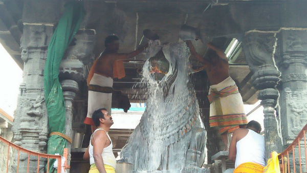  మురుగన్‌కు తమిళులు ప్రత్యేక పూజలు