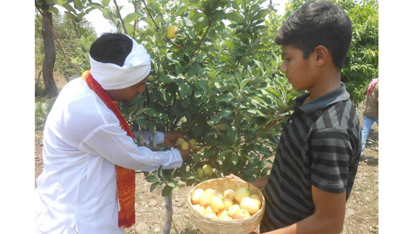 సీఎం కేసీఆర్ కు యాపిల్ పండ్లు అందించనున్న రైతు బాలాజీ