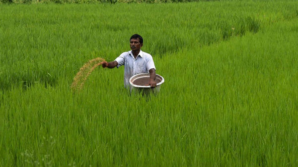  రైతులు ఈ పండుగను ఎందుకు జరుపుతారు..?