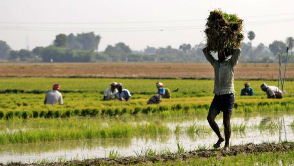  వేదాలు వ్యవసాయ పండగ గురించి ఏం చెబుతున్నాయి..?