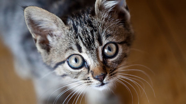 బెడ్ రూంలో ప్రశాంతంగా ?