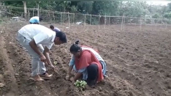  దుక్కి దున్ని విత్తనాలు చల్లి వ్యవసాయ పనులు చేసిన ఎంపీ మాధవి