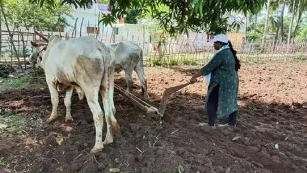 సోషల్ మీడియాలో ఎంపీ మాధవి వ్యవసాయం ఫోటోలు వైరల్