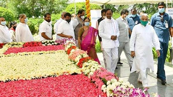 పీవీ జ్ఞానభూమిలో..