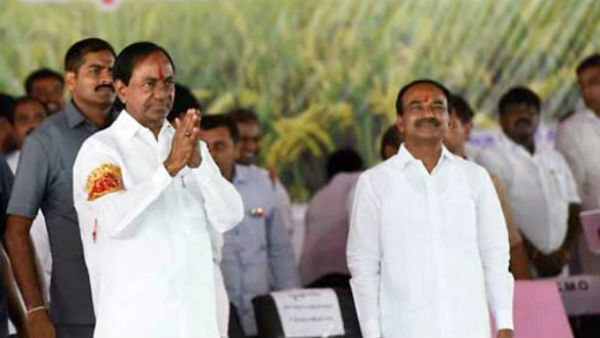 నియంత్రిత పద్దతిలో సాగు.. 