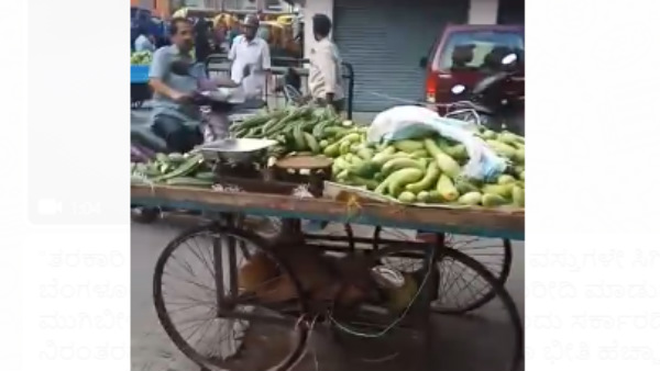 మరో 50 మంది టీచర్లకు ఉద్వాసన.. 