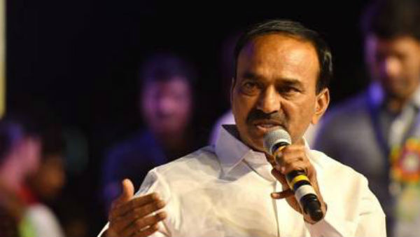 విమలా థామస్‌ ఇంచార్జీ..