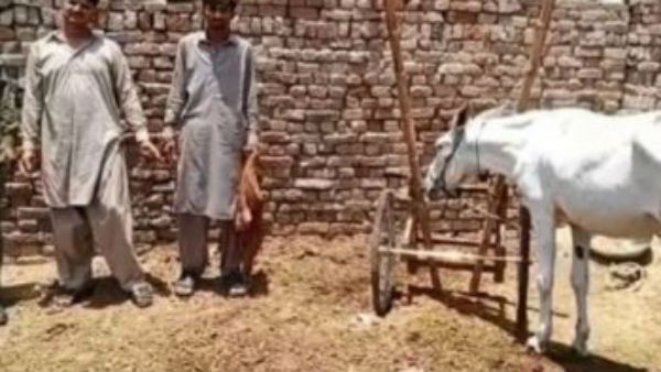  నిద్రలేచినప్పటి నుంచి పాకిస్థాన్ కు అదే పని