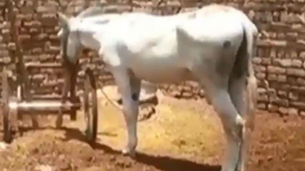  పోలీస్ జీ..... యే క్యా హై ?