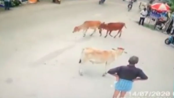 ఏం జరిగింది ?