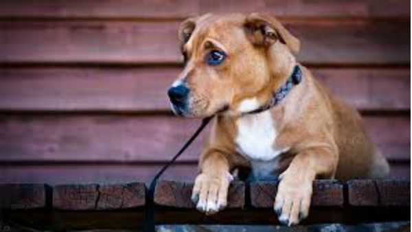  హైకోర్టులో వివాదం