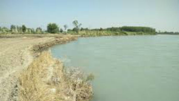 సీమ జిల్లాల్లో 19 లక్షల హెక్టార్లకు నీటి సరఫరా కోసం
