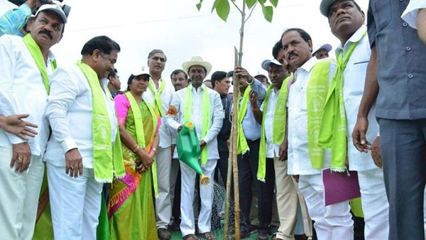 హరిత హారంలో వ్యాప్తి..