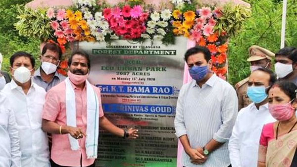 ఎలా కోలుకుంటున్నారు..