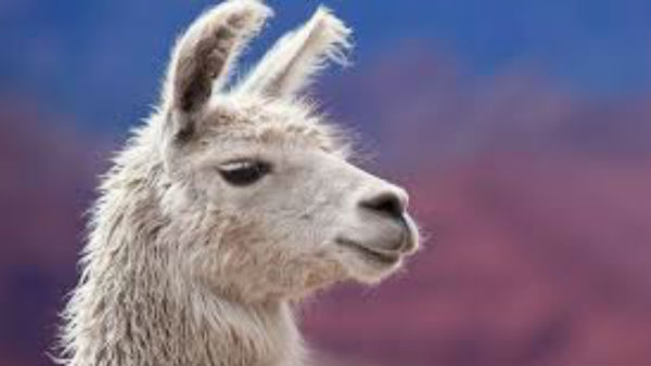 మానవ రక్తకణాల్లో వైరస్ ప్రవేశించకుండా..