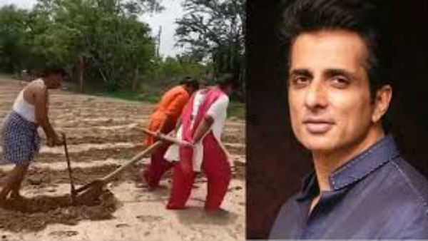 వెళ్లి దున్ని వస్తా.. కానీ