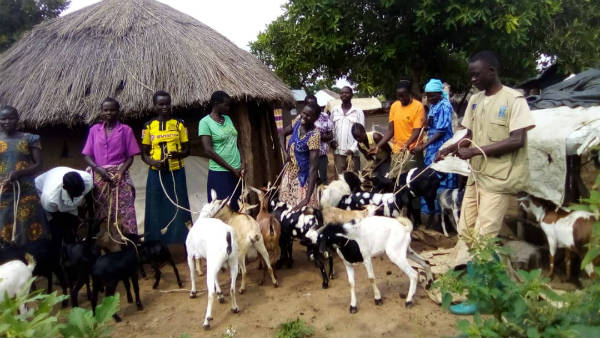 గొర్రెలు, మేకలను క్వారంటైన్ లో ఉంచటానికి రీజన్ ఇదే గొర్రెలు, మేకలను క్వారంటైన్ లో ఉంచటానికి రీజన్ ఇదే