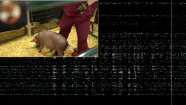  ఫోన్‌తో కూడా అనుసంధానం కావాలి