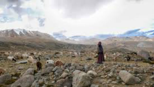  వివాదం అక్కడి నుంచే..