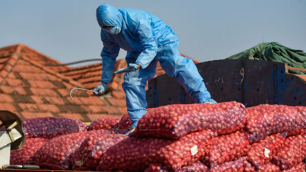 చిన్న చిన్న పట్టణాలు ,గ్రామాలపై ప్రభుత్వం దృష్టి పెట్టాలన్న రిపోర్ట్