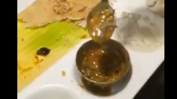 Man Finds Dead Lizard in his Sambar at Top Delhi Restaurant, FIR Lodged Man Finds Dead Lizard in his Sambar at Top Delhi Restaurant, FIR Lodged