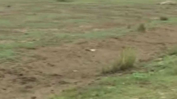 లీజు ముగిసినా, భూములను ఖాళీ చెయ్యని కౌలుదారులు 