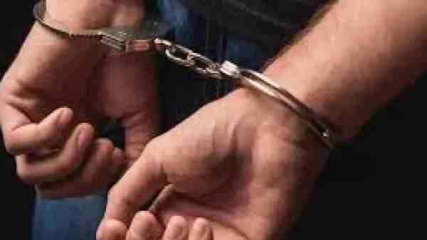 బిర్యానీ తిన్నట్లు మొసళ్లు తినేశాయి బిర్యానీ తిన్నట్లు మొసళ్లు తినేశాయి