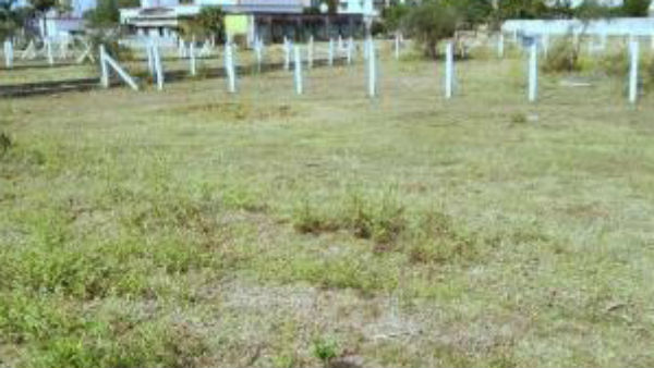 ఆవ భూములలో అవినీతి జరిగిందని ప్రతిపక్షాల ఆరోపణలు .. వైసీపీ ఎంపీ కూడా 