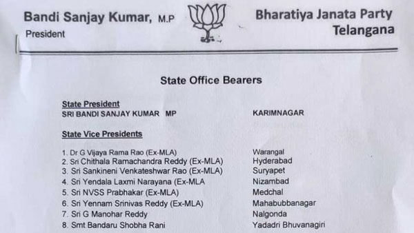 పార్టీ ఉపాధ్యక్షులుగా..