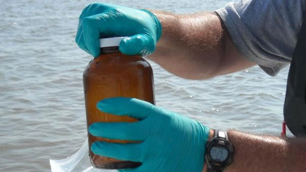 సీసీఎంబీ, ఐఐసీటీ సంయుక్తంగా..