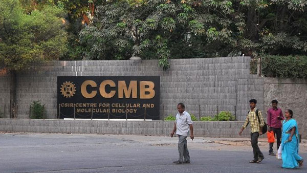 కొవిడ్ రోగుల విసర్జనాల్లో..