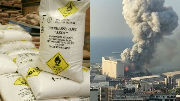  హార్బర్ లో తిష్ట