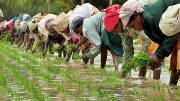 కేంద్రంపై అన్నదాతలు ఫైర్