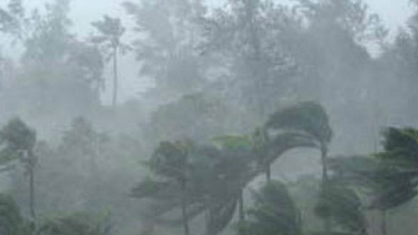 ఏయే జిల్లాల్లో...