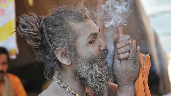 Karnataka temples offer ganja as prasada Karnataka temples offer ganja as prasada